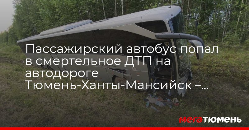 Купить Билет На Автобус Ханты Мансийск Кышик