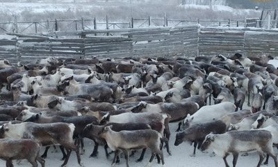 1bb4a8e8451f247bdd9dfa48a3acf2fa