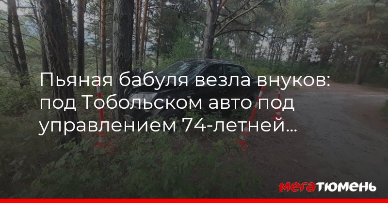 Снт возрождение тобольск карта