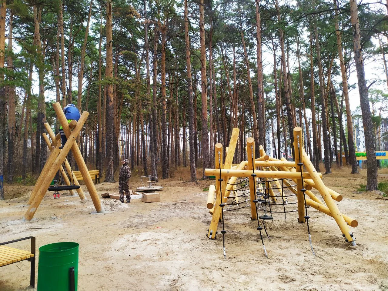 На Мысу в Тюмени благоустроили лес у ДК «Водник» МегаТюмень