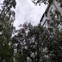 38rT9ZQjqTqqr-BNBa7nyjs47hIU6A9j0ri9uSwN1eZ6R_NITxpspmEj6049Awu4PaQAJ-mhRngDo899zNVQIrkg
