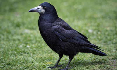 4E57AE1E-9CE3-48C6-9AA9-306AB9F8445E