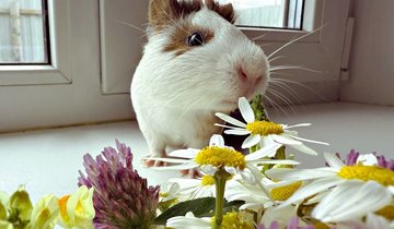 4zLSMvbO-hQe7BpYABn8p2Hc-xB5fyn2QeFOqu3eb-PeVq5dV6BtX05GynjkLs0VE17cvU-lNA9tQOvRRqE0PClw