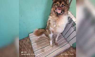 6JFBXZizpvPk1KPeoKYTNBBaOtdtJV997C_p-B0qaH9Mgbc6zHSCoBJYLtRXCbxPKwP3zs2Pe5xjr9hRN7ZDT693