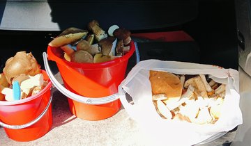 A8vkf9ifZopKQH7MWLnHib5oNyF2STBovEYMDc_xBaEXJjbyPessmlLTRv6i4iW-qu6OnL7Pw9jv9MIF6V6qDTQT (1)