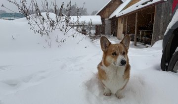 BSdH00LvO4ouDHt2EWMjOYAfXkzACeC24bmOjKLqjxsI1YiD3QooZg0vyW47Tl01VMz3kcxdbYEmxvimnwJAx9GY