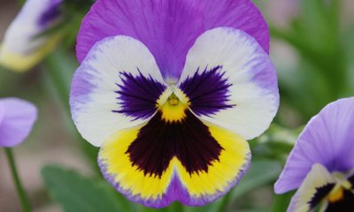 Безымянный