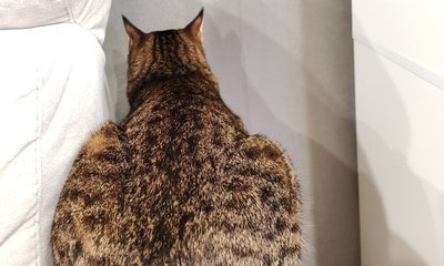 Безымянный