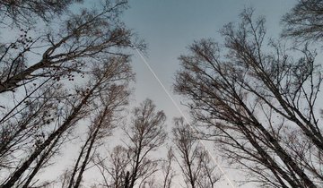 C-gBFqmOPOyQO7sAVNInBlc4lA28oBvobQEOjNSXsxo1AVG4x8u5CIX6rGY3-p5iqgCLzZJ84pE2T2bZkGCbY2Lg