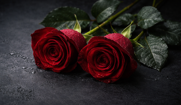 C40C7A00-3840-47B1-860F-E930AB1EC6D4