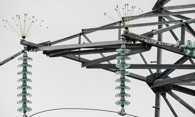 Фото Марии Кузнецовой