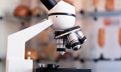 Фотографическое изображение 1