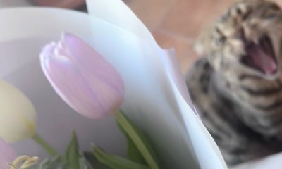 FpE-KmPL6FdgOhuZZETHSyJDBbLK28Zi7NwDeHd28g53DQtIJ2rVKvwQKMPWL0bULS1QmNknKv9GkfsYVPBwAKMQ