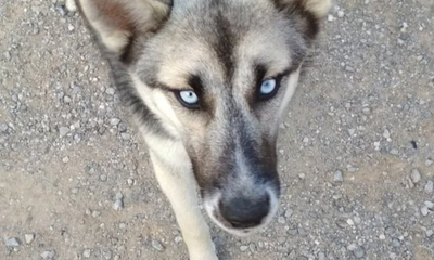 IMG-8134856277649b07dc92bedc4454e.format-webp.width-650