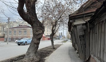 IMG_0991