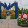 IMG_20260720_123846