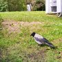 IMG_20260821_165339