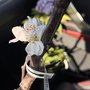 IMG_3171