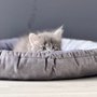 Котенок