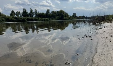 Тура