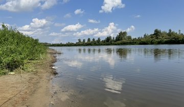 Тура
