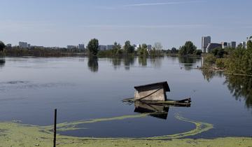 Заросшая ряской вода у берега, торчит затопленная постройка, вдали город.