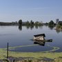 IMG_4960