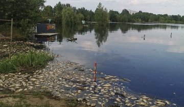 IMG_5201