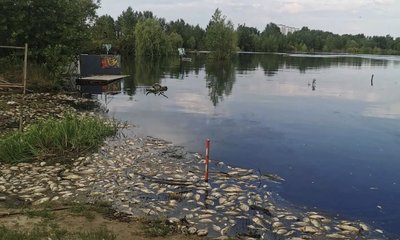 IMG_5201