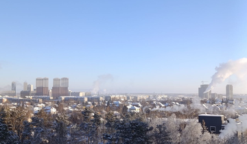 Дым ТЭЦ и лес.