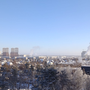 Дым ТЭЦ и лес.