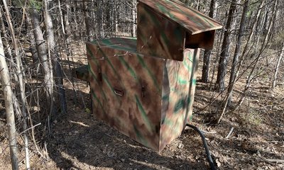 Кристина Рыжкова