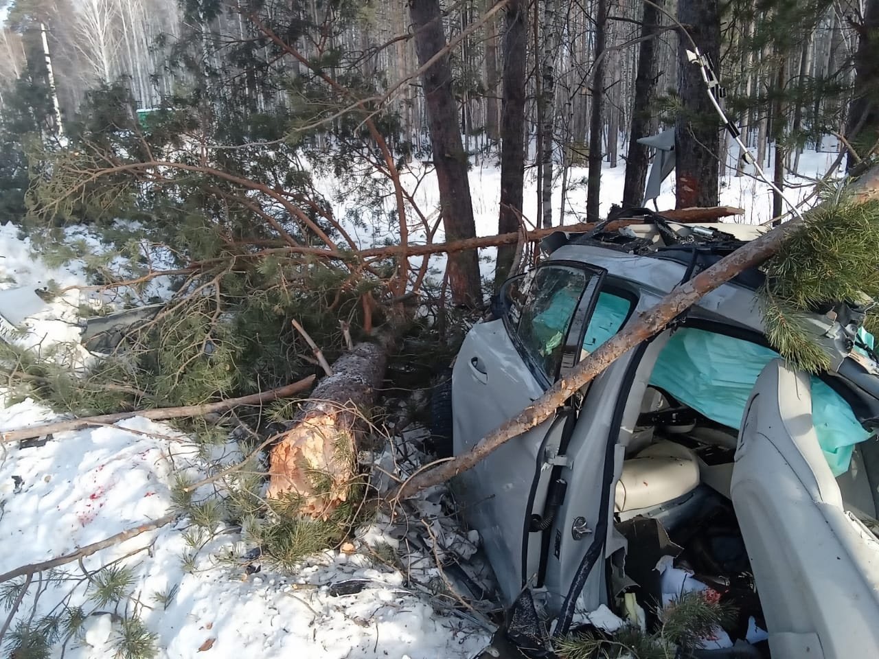 В страшном ДТП на автодороге Тюмень-Нижняя Тавда погибла 24-летняя девушка  МегаТюмень