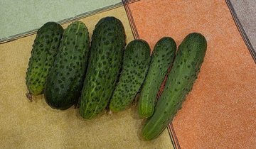 NwVNJhBQgaDIQK9cSb5zjADuiHqONwLLnHMrRNfoG8GxsCHCqblMxYZG94M8nV0QsSGd_xqPQ_Hbhrd3B_NHjTBR