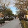 Тюмень Труханович