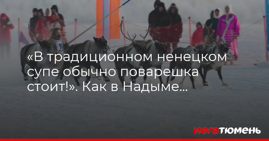 Как в Надыме встретили 30-й юбилейный День оленевода - МегаТюмень
