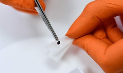 RIAN_6547739.HR_.ru_