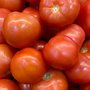 Помидоры