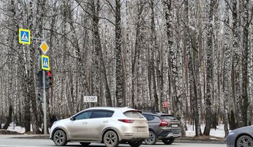 Снимок