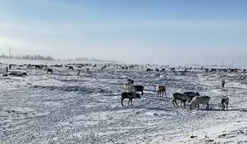 Снимок экрана 2025-12-09 115725