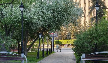 Снимок