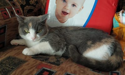 WhatsApp Image 2022-08-17 at 15.27.36