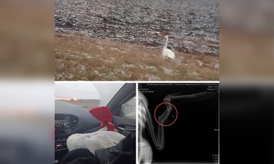 Yp4-WB_arwCKsDX3LnPLTgd4Oogx1Tmjeo2q9d3AIR_uuJ2fPm1tYWbbc1fLRJgq1nBHQLfZhOO-LnqyJkqxhUxB