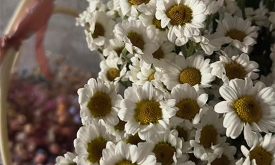 Zc6DNcQuTu39nZteoSmGEkoBeWN8LMkE6jITKLB1sgLfNxF6dG8JJQISCy58rtFuxY_9JL2dWonR_twxQ3eb7ILg