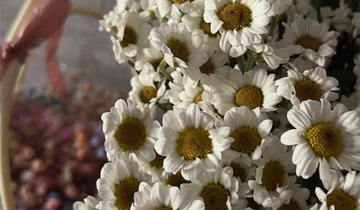 Zc6DNcQuTu39nZteoSmGEkoBeWN8LMkE6jITKLB1sgLfNxF6dG8JJQISCy58rtFuxY_9JL2dWonR_twxQ3eb7ILg