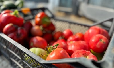 _rey15uSKzkw2tRM5896del04dAs9dBdSmUQ2BY3fDhSZyZaCCqnBpwkVXnwhO1VEk9l3Drd8KPYuChiOcnf_nVS