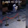a_p6dt6CIKdiZidOO-pV5iCi-_dRVXarPwChqzE-f7QmKYMbxUqQ0oUsBhBS9XJ27LbwfyPtppiFwCFMKcHwEf1W
