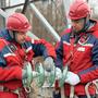 специалисты «Россети Тюмень»
