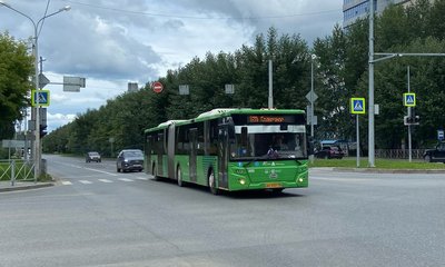 автобус зеленый