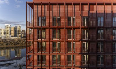 брусника мега